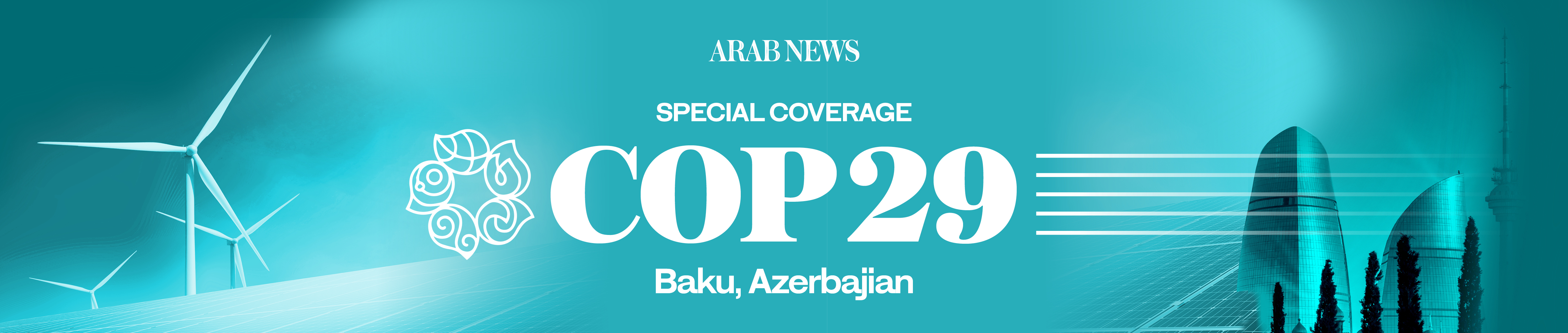 COP29