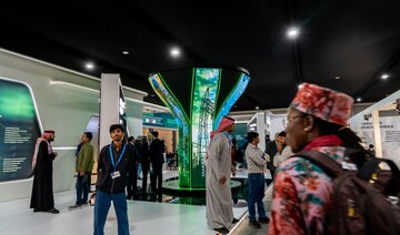 The road to COP16: synergy among conventions paves the way for Riyadh