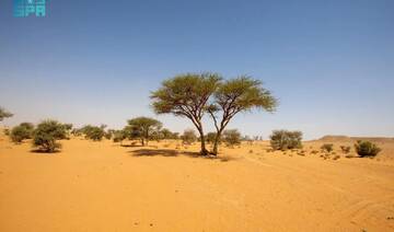 NCVC launches plan to combat desertification, sand encroachment and drought mitigation
