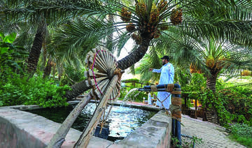 Visitors can immerse in a serene environment that reflects the richness of Hail’s landscape and heritage. (SPA)