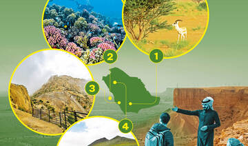 How ecotourism is growing and attracting investment in Saudi Arabia