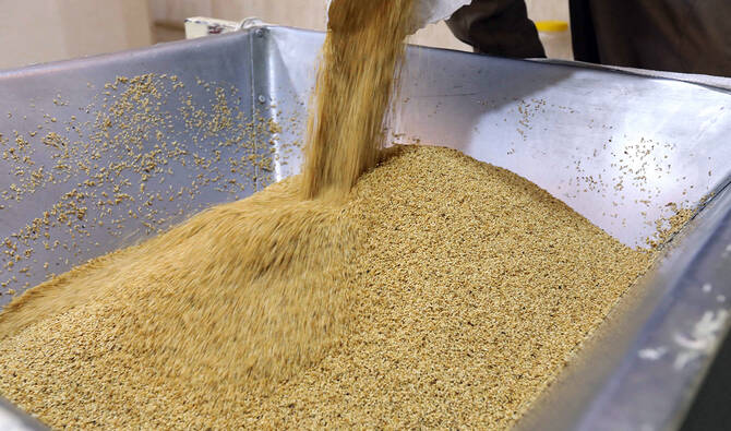 Pakistan’s sesame exports to China surge 87% as Beijing’s edible oil demand grows