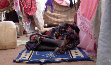 UN genocide adviser warns ‘threshold about to be crossed’ in Sudan’s El-Fasher atrocities