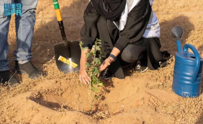 The National Greening Season 2025 has begun in Saudi Arabia, and aims to expand vegetation cover and reduce land degradation.